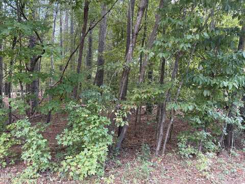 131 Clear Water Road, Louisburg, NC 27549