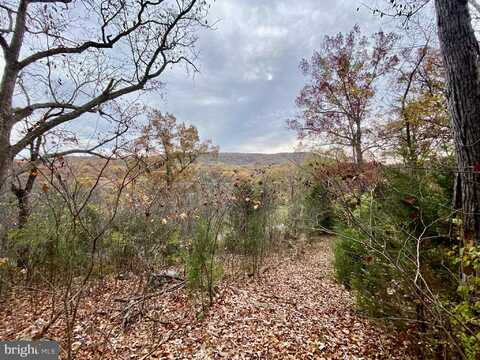 0 OLD CAVE ROAD, FRONT ROYAL, VA 22630
