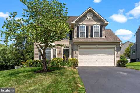 705 BRIGHTON WAY, NEW HOPE, PA 18938