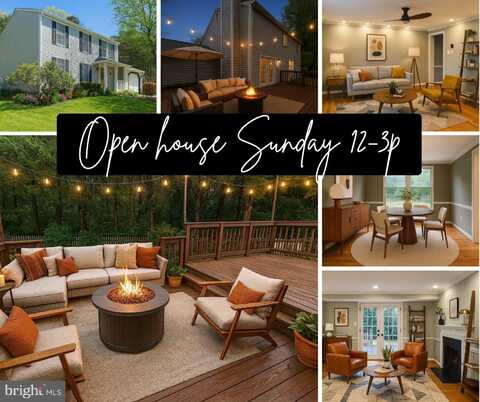 14286 PATRIARCH COURT, CENTREVILLE, VA 20120