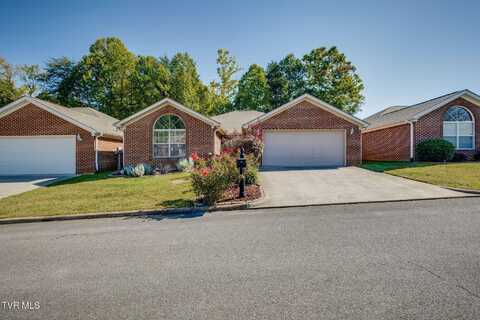 253 Crockett Drive unit: ., Church Hill, TN 37642