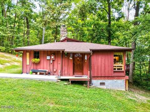 262 Mountain View Drive, Rutledge, TN 37861