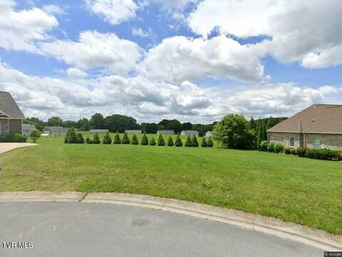 529 Manchester Place, Bristol, TN 37620
