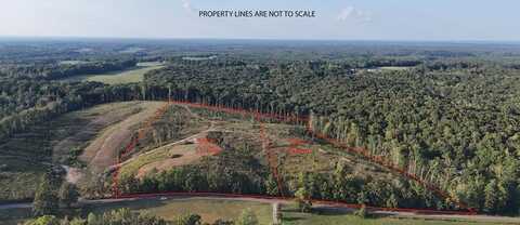 Flatwoods, CAMDEN, TN 38320