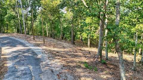 165 Grace Lane, EVA, TN 38333