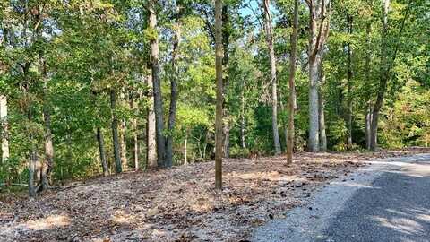 147 Grace Lane, EVA, TN 38333