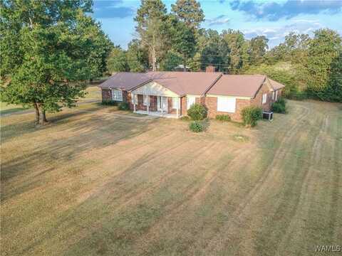 11441 Pat Mcgee Dr, Cottondale, AL 35453