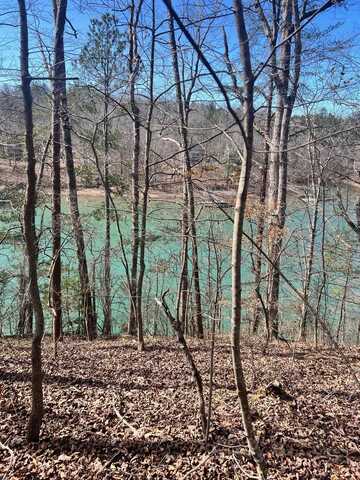 LOT 6 T C DOWNS SUBDIVISION, Double Springs, AL 35553