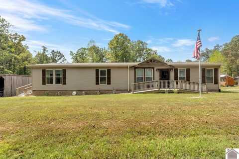 14671 Old Dover Rd, Cadiz, KY 42211
