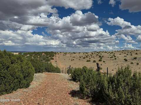 Tbd Falcon Drive, Taylor, AZ 85939