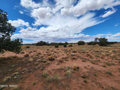 5386 County Road N5386, Saint Johns, AZ 85936