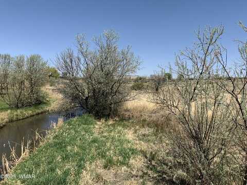 2 N Old Gristmill Road, Eagar, AZ 85925