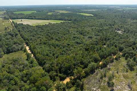 TBD Arms Rd, Arabi, GA 31712