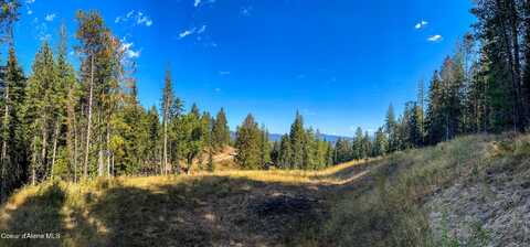 0 Larkspur Lane, Saint Maries, ID 83861
