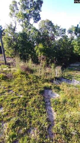 1972 Elgin Drive, Elgin, SC 29045
