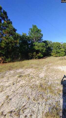 1986 Elgin Drive, Elgin, SC 29045