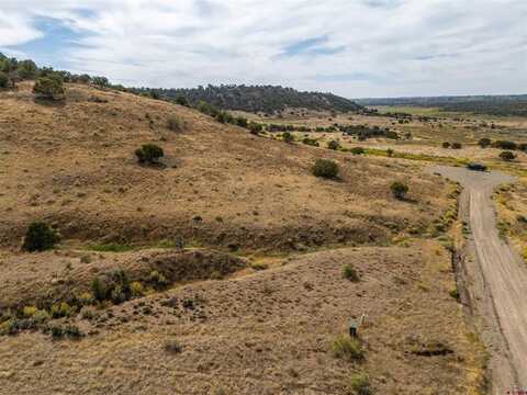 TBD Tbd Road V5, Dolores, CO 81323