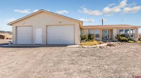 25747 Cougar Mountain Road, Hotchkiss, CO 81410