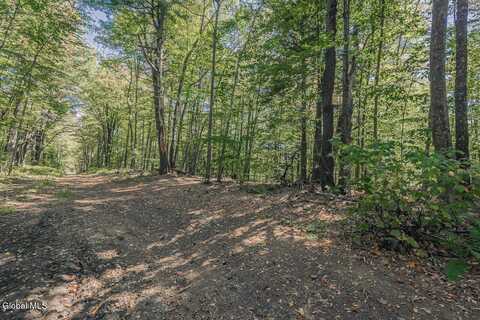 L43.3 Hinds Road, Galway, NY 12074