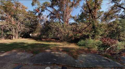 1036 Cornwall Street, Savannah, GA 31415