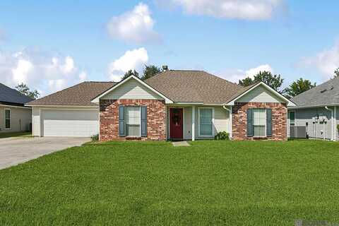 38178 Hidden Point Dr, Geismar, LA 70734