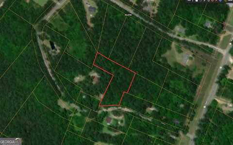 3 Acres Lewis, Townsend, GA 31331
