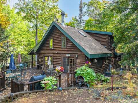4123 DEER FOOT RD, Star Lake, WI 54561
