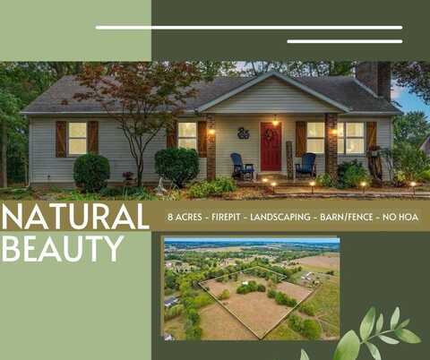 182 Spitfire Lane, Billings, MO 65610
