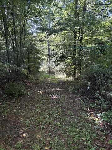 Morris Branch Rd, Meadow Bridge, WV 25976