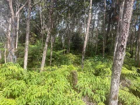 MOKUNA ST, Volcano, HI 96785