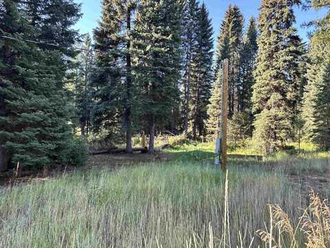 15 Andy, Donnelly, ID 83615