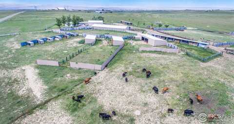 7557 County Road 100, Wellington, CO 80549