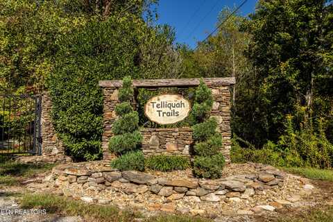 105 Warriors Passage Drive, Tellico Plains, TN 37385