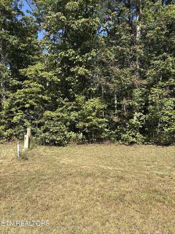 315 E Bluff Rd, Pikeville, TN 37367