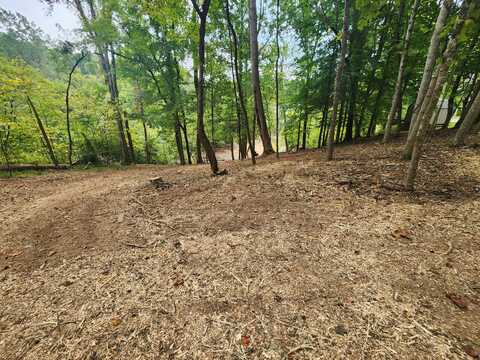 1515 Catoosa Drive, Mooresburg, TN 37811