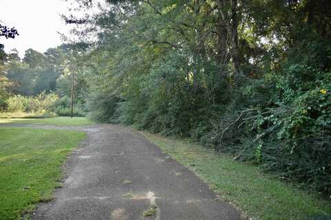 Tbd Danville Road, Kilgore, TX 75662