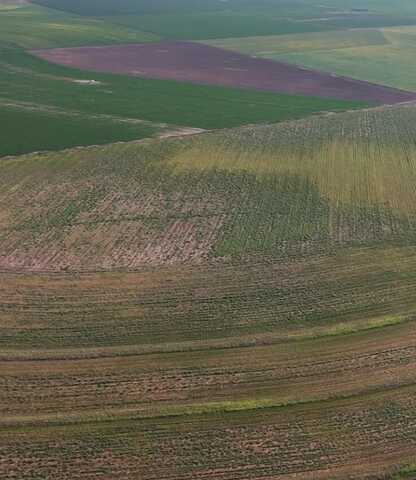 Wilson Farms, Wilson, TX 79381