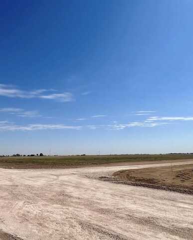 Tiger Farms 2, Shallowater, TX 79363