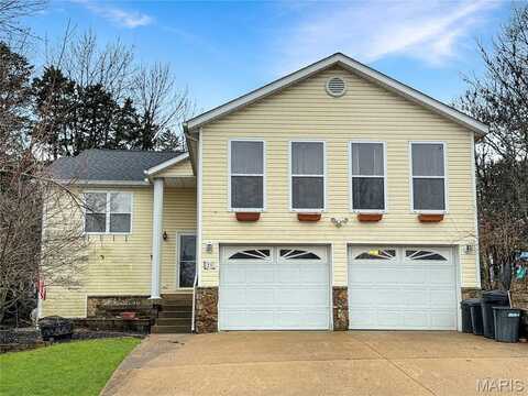 21 Forest Lane, Union, MO 63084