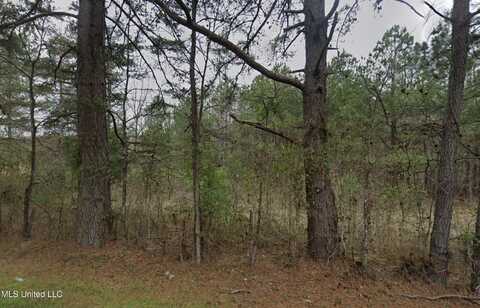 Sleepy Hollow Road Lot, Terry, MS 39170