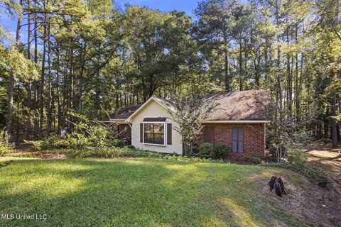 4201 Oakhill Drive, Terry, MS 39170