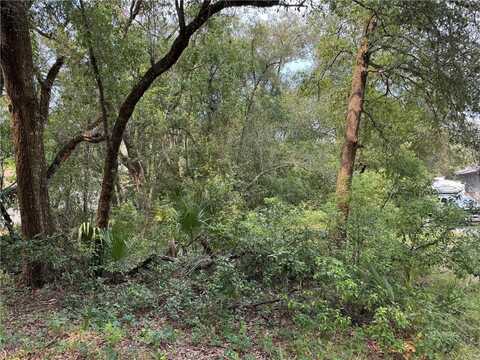 STRAWBERRY AVENUE, SORRENTO, FL 32776