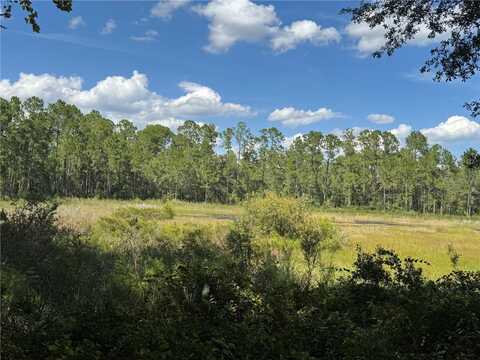Tbd S SR 21, HAWTHORNE, FL 32640