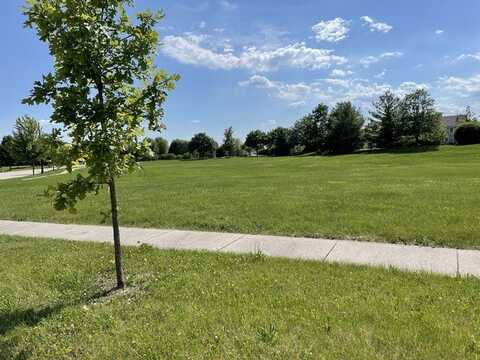 25102 Old Oak Lane, Shorewood, IL 60404