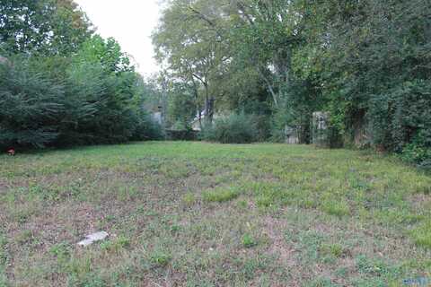 1508 Chestnut Street SE, Decatur, AL 35601