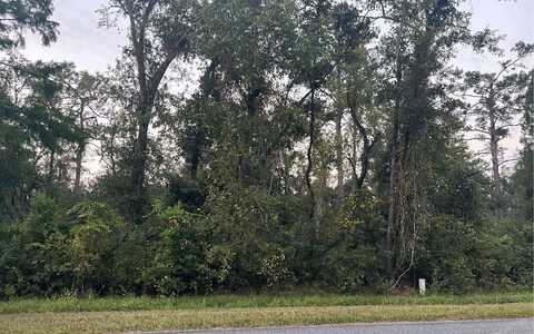 TBD CR 249, Jasper, FL 32052