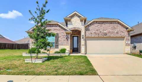 1828 Roadrunner Drive, Little Elm, TX 75068