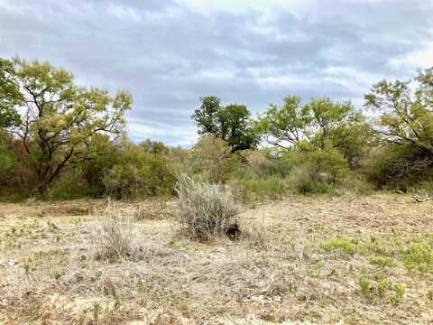 25ac Tbd 2 Hwy 6, Moran, TX 76464