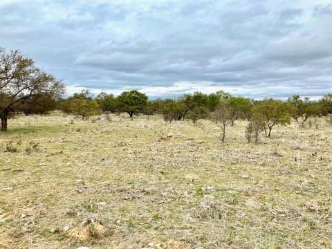 Lot10 FM 880, Moran, TX 76464