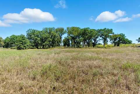 113 Homestead Court, Lipan, TX 76462